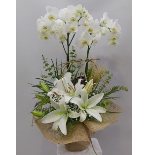 beyaz orkide ikili ve beyaz lilyum arajmanı